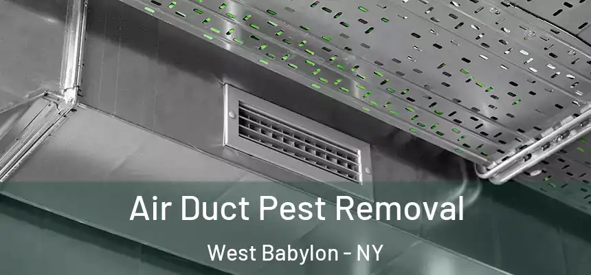 Air Duct Pest Removal West Babylon - NY