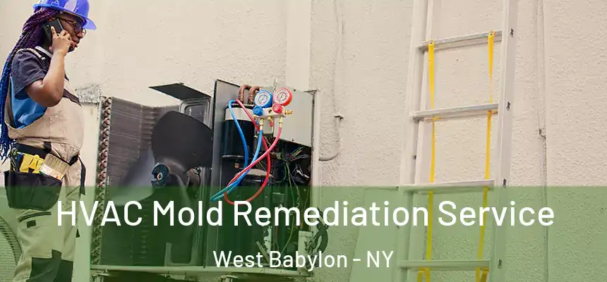 HVAC Mold Remediation Service West Babylon - NY
