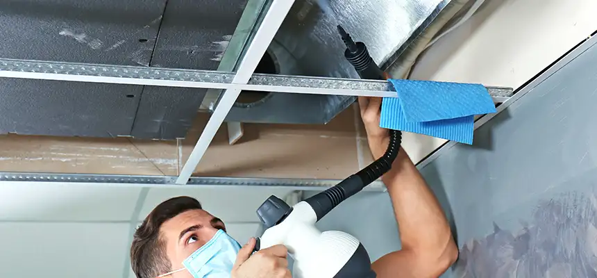 Our Air Duct Rodent Removal Services in West Babylon, NY