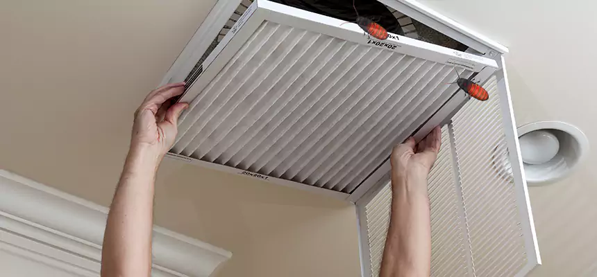 Our Insect Removal from Air Ducts Services in West Babylon, NY