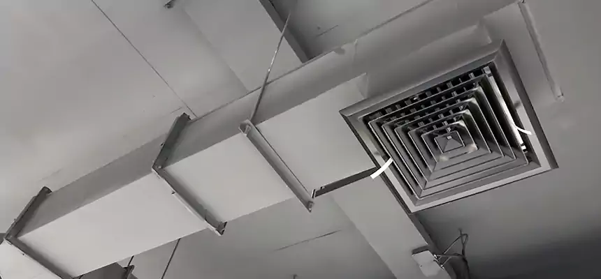 Our Rodent Droppings In Vents Services in West Babylon, NY