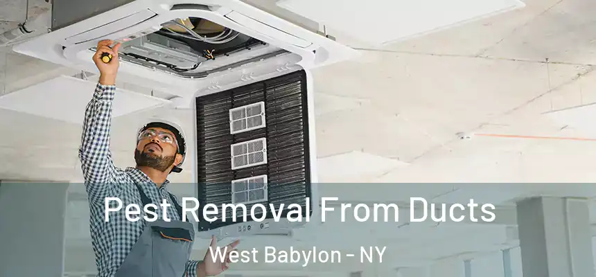 Pest Removal From Ducts West Babylon - NY