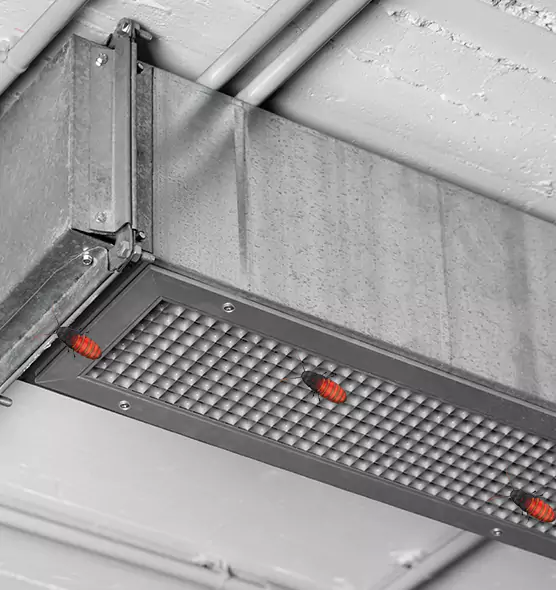 About Air Duct Cockroach Removal in West Babylon, NY