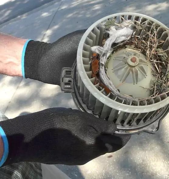 About Air Duct Mice Removal in West Babylon, NY