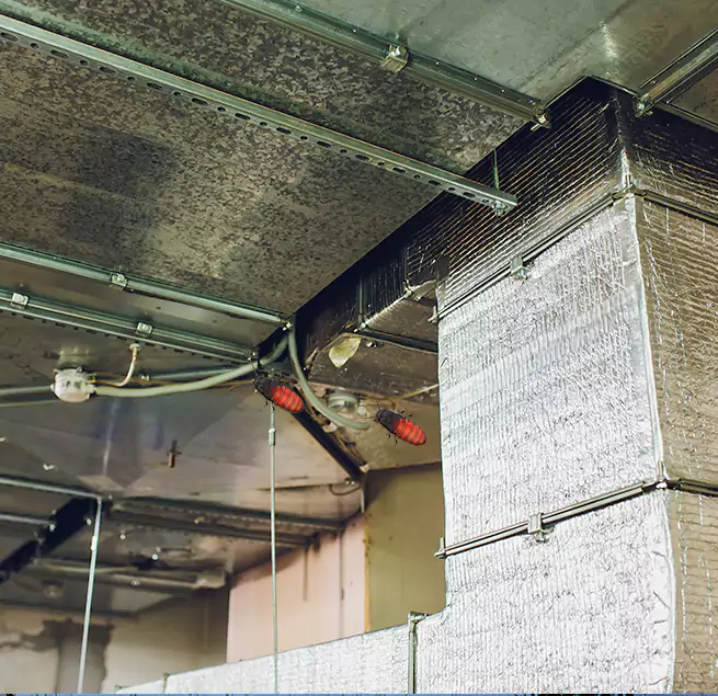 Why Homeowners & Businesses Trust Us in West Babylon, NY?