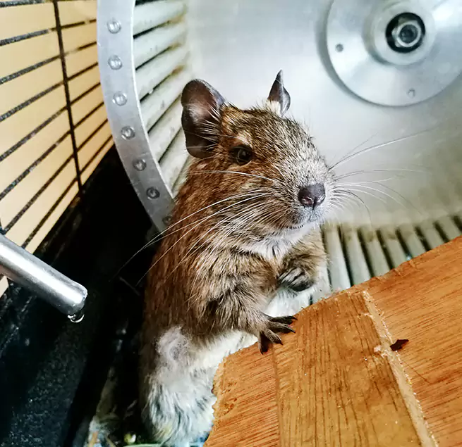 Why Homeowners & Businesses Trust Us West Babylon, NY?