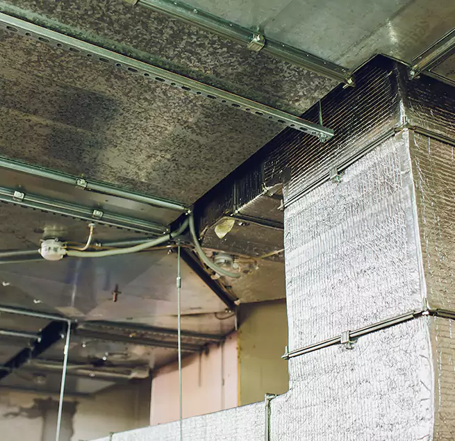 Why Homeowners & Businesses Trust Us in West Babylon, NY?